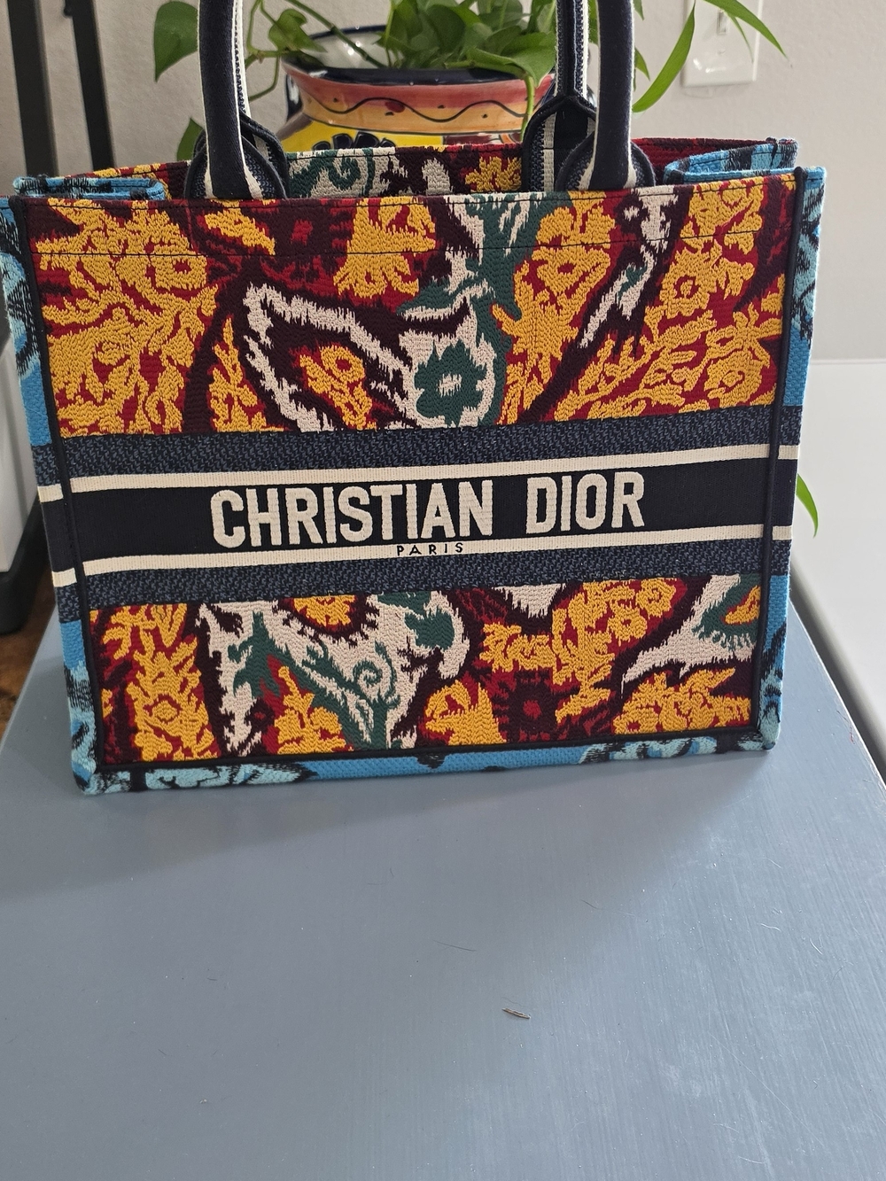 Gorgeous Medium Dior Book Tote